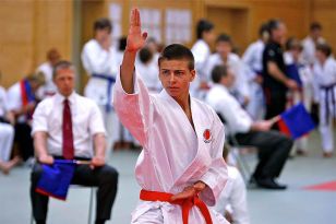 seibukan_OOE_Landesmeisterschaft_2010_059.jpg