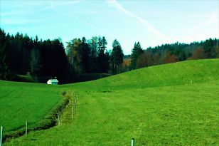 seibukan_Seibukaner_in_Muenchen_2012_009.jpg
