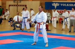 seibukan_Senioren_Staatsmeisterschaft_2011_070.jpg