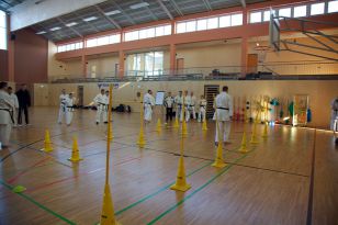 seibukan_Zwei_neue_Karate_Instruktoren _2015_015.jpg