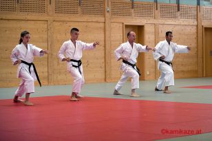 seibukan_pruefung_budokan_2016_019.jpg