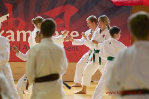 seibukan7_Internationales_Kamikaze_Sommercamp_2015_012.jpg