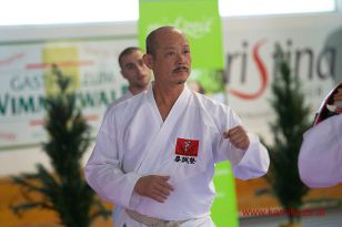seibukan7_Internationales_Kamikaze_Sommercamp_2015_110.jpg