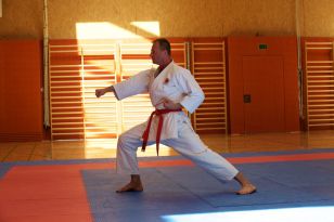 seibukan_Askoe_Landesmeisterschaft_in_Linz_Kirchdorf_2015_179.jpg
