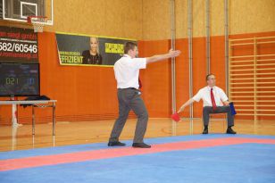 seibukan_Askoe_Landesmeisterschaft_in_Linz_Kirchdorf_2015_200.jpg