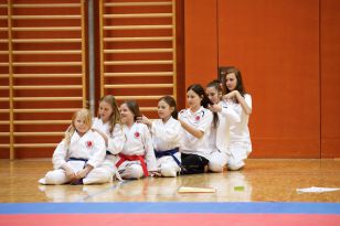 seibukan_Askoe_Landesmeisterschaft_in_Linz_Kirchdorf_2015_236.jpg