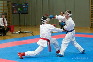 seibukan_Askoe_OOEKarate_Landesmeisterschaft_2013_163.jpg