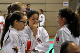seibukan_Intern_Lions_Cup_Lustenau_2013_028.jpg
