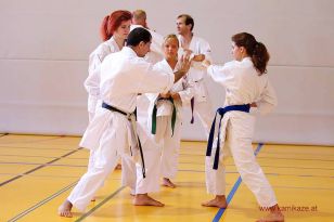 seibukan_KAMIKAZE_Sommercamp_Neuhofen_Krems_2012_063.jpg