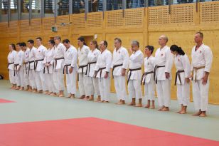 seibukan_Kyu_u_Dan_Pruefung_OOELV_im_Budokan_2014_010.jpg