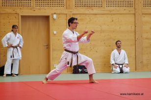 seibukan_Kyu_und_Dan_Pruefung_2013_016.jpg