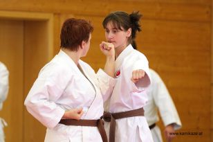 seibukan_Kyu_und_Dan_Pruefung_2013_118.jpg