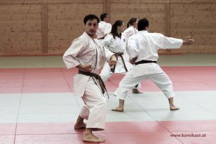 seibukan_Kyu_und_Dan_Pruefung_2014_090.jpg