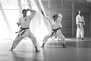 seibukan_Kyu_und_Dan_Pruefung_des_OKB_im_Budokan_2013_041.jpg