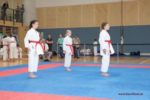 seibukan_Landesmeisterschaft_2016_058.jpg
