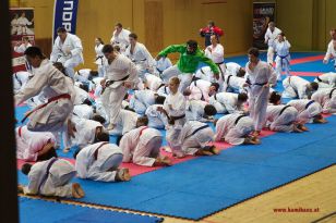 seibukan_Lehrgang_mit_Rafael_Aghayev_2013_030.jpg