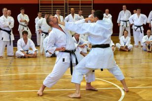 seibukan_OEKB_Tag_Wels_2011_007.jpg