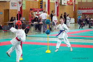 seibukan_Oesterr_Nachwuchsmeiterschsft_in_Wien_2013_033.jpg
