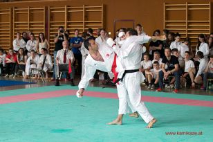 seibukan_Oesterr_Shotokan_Meisterschaft_StGeorgen_2014_146.jpg
