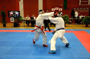 seibukan_Oesterreichische_Nachwuchsmeisterschaft_2010_080.jpg