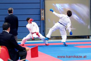 seibukan_Premium_League_K1_Salzburg _2016_056.jpg