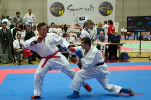 seibukan_WADO_KAI_Europameisterschaft_2012_214.jpg