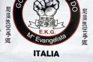 seibukan_World_Karate_Championship_italien_2016_042.jpg