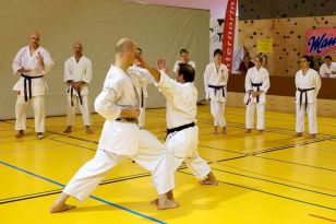 seibukan_2_Intern_Kamikaze_Sommercamp_2010_116.jpg