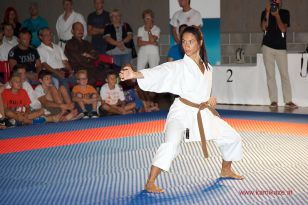 seibukan_5_Intern_Kamikaze_Sommercamp_Neuhofen_2013_299.jpg