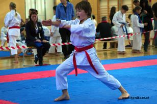seibukan_Askoe_Bundesmeisterschaft_2011_023.jpg