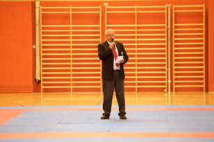 seibukan_Askoe_Landesmeisterschaft_in_Linz_Kirchdorf_2015_011.jpg