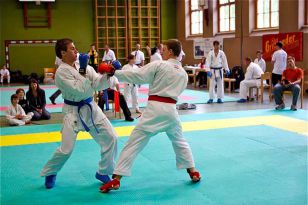 seibukan_Askoe_Landesmeisterschaft_in_Windischgarsten_2010_118.jpg