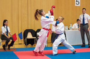 seibukan_Austian_Junior_Open_2013_102.jpg