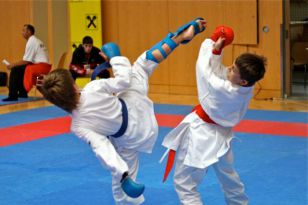 seibukan_Austrian_Junior_Open_2009_025.jpg