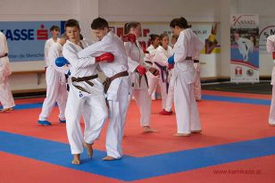 seibukan_KAMIKAZE_Sommercamp_Neuhofen_Krems_2012_102.jpg