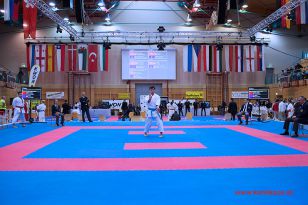 seibukan_Karate1_Premier_League_and_Youth_World Cup_Salzburg_2013_010.jpg