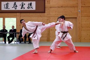 seibukan_Kyu_und_Dan_Pruefung_2010_027.jpg