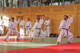 seibukan_Kyu_und_Dan_Pruefung_2013_106.jpg