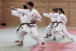 seibukan_Kyu_und_Dan_Pruefung_2014_074.jpg