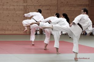 seibukan_Kyu_und_Dan_Pruefung_2014_140.jpg