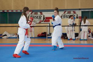 seibukan_Landesmeisterschaft_2016_105.jpg