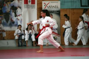 seibukan_OOE_Nachwuchs_und_Landesmeisterschaft_2013_046.jpg