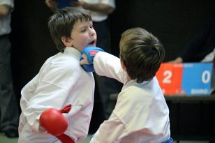 1486652907-img_8026.jpg