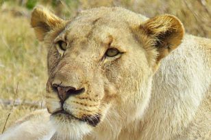 1577307011-23.jpg