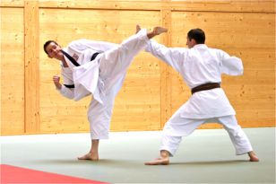 seibukan_1_KYU_und_DAN_Pruefung_2009_024.jpg