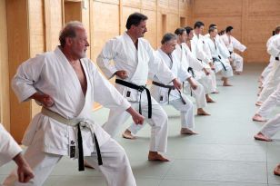 seibukan_2_OEKB_Tag_Trainerfortbildung_2010_000.jpg