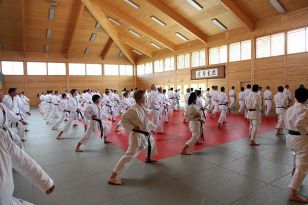 seibukan_2_OEKB_Tag_Trainerfortbildung_2010_004.jpg