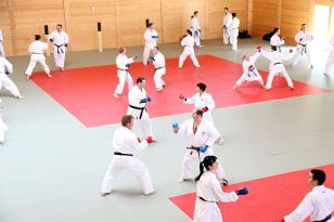 seibukan_2_OEKB_Tag_Trainerfortbildung_2010_016.jpg