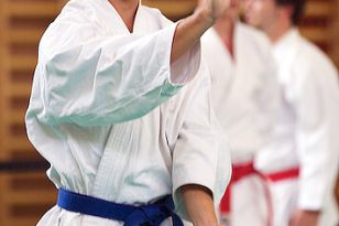 seibukan_Askoe_Bundesmeisterschaft_Wien_2013_047.jpg