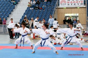 seibukan_Askoe_OOE_LM_Steyr_2012_114.jpg